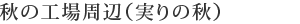 秋の工場周辺（実りの秋）